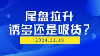 我的炒股日记：2024年11月19日A股尾盘拉升总结